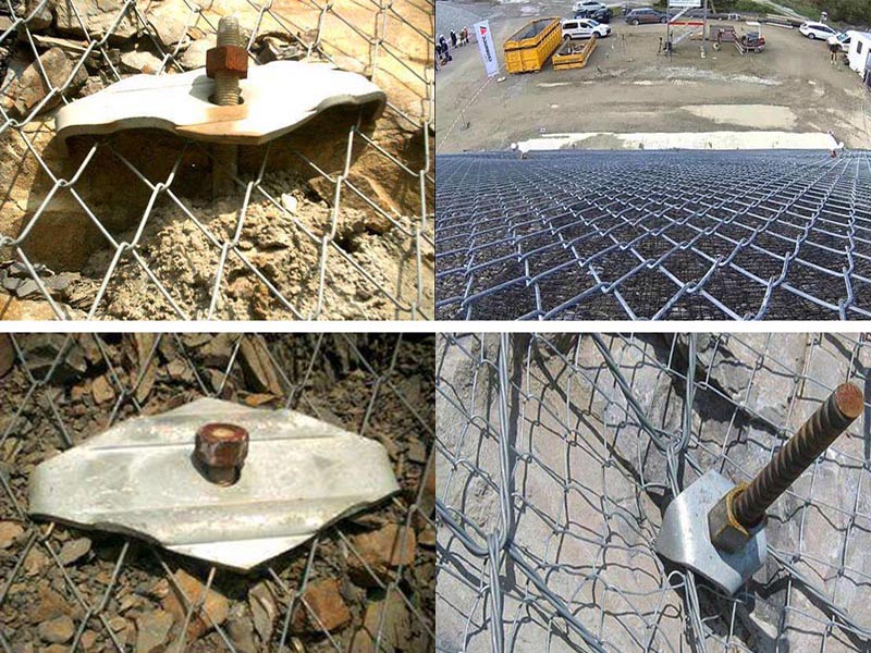 ߅�·��o(h��)�ߏ�(qi��ng)��䓽z���